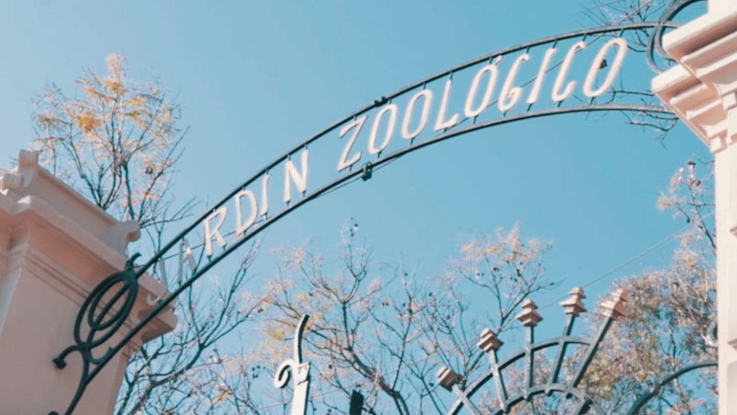 La experiencia Marianes en el ex Zoo de Córdoba.