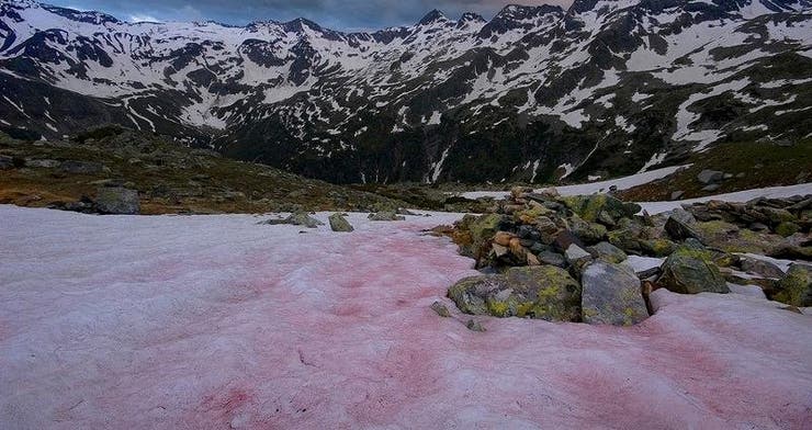 La extraña nieve con su particular color rosado.