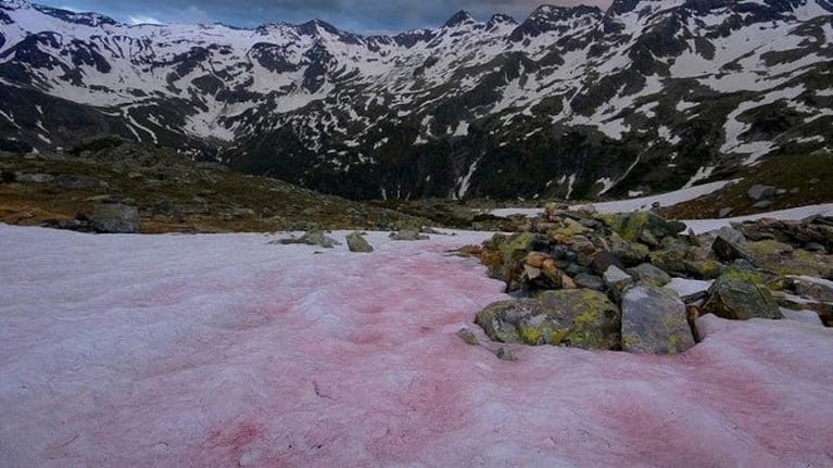 La extraña nieve con su particular color rosado.
