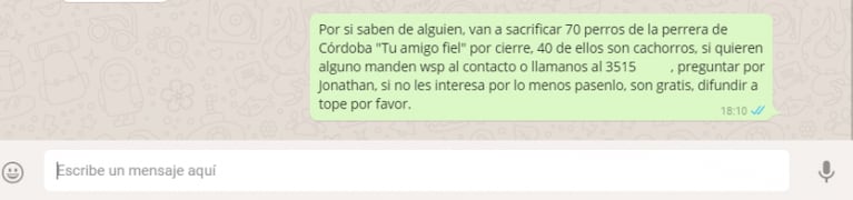 La falsa cadena para salvar perros por WhatsApp 