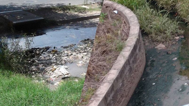 La falta de limpieza en una calle de Córdoba y un canal que divide dos barrios.