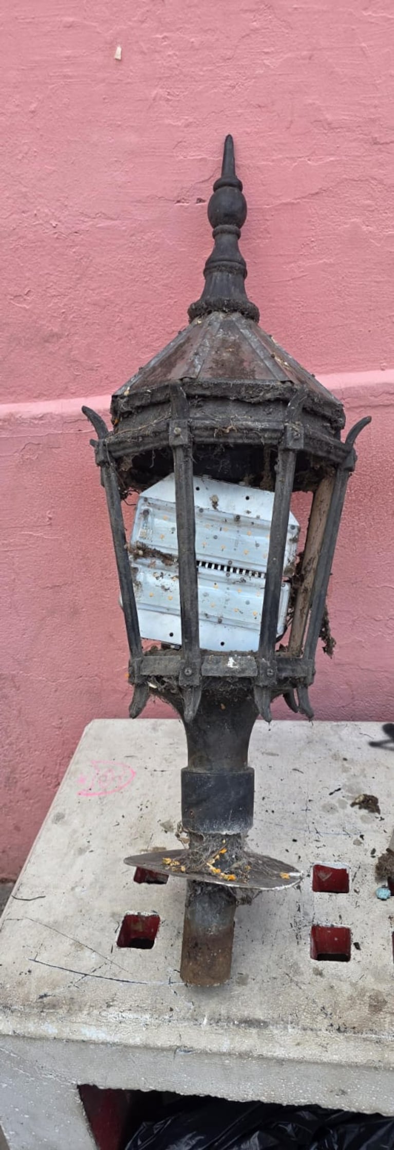 La farola que intentó robarse un naranjita.