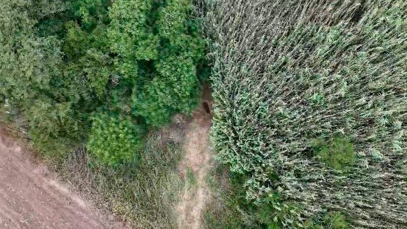 La fosa donde Quinteros enterró a su ex. Foto: Drone El Doce. 