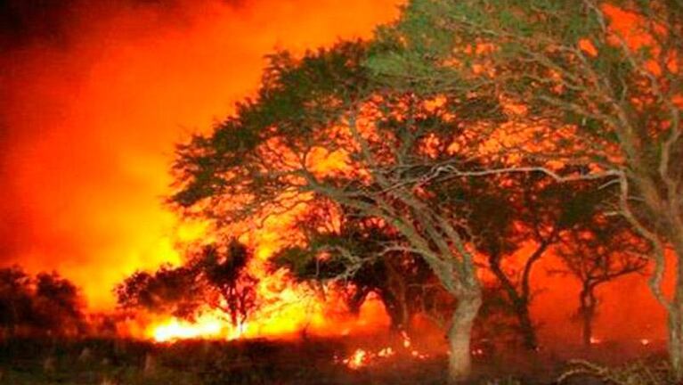 La foto de la mujer bombero que emociona