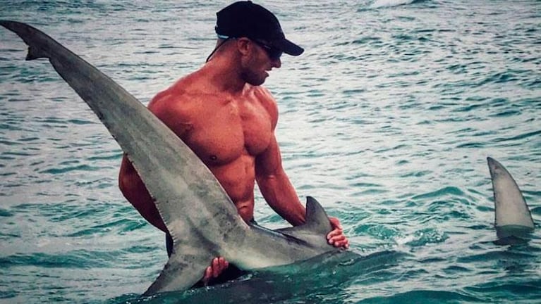 La foto de un tiburón martillo se volvió viral por su cazador