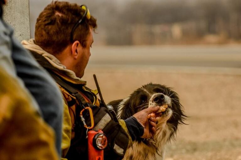 La foto viral de un "diablo de fuego" en los incendios en Cordoba