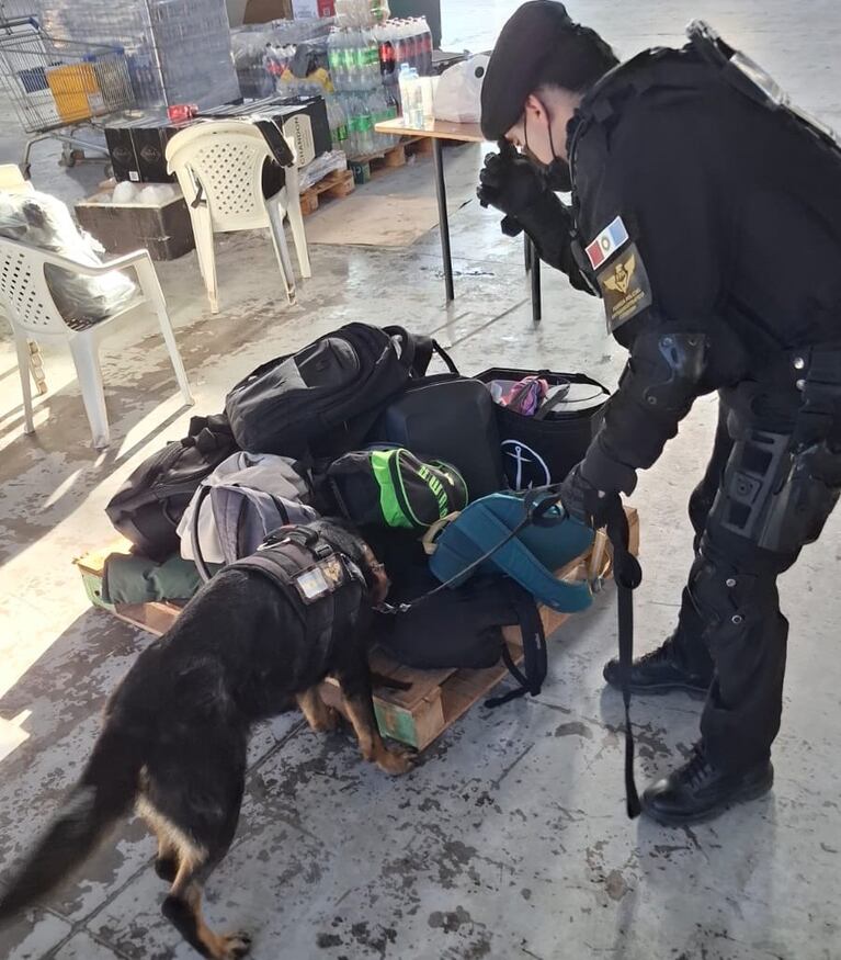 La FPA secuestró drogas en una fiesta electrónica.