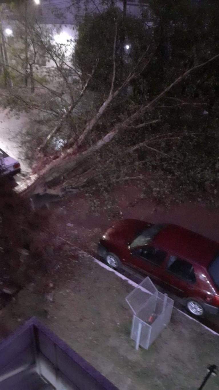 La fuerte tormenta causó daños en gran parte de la provincia de Córdoba