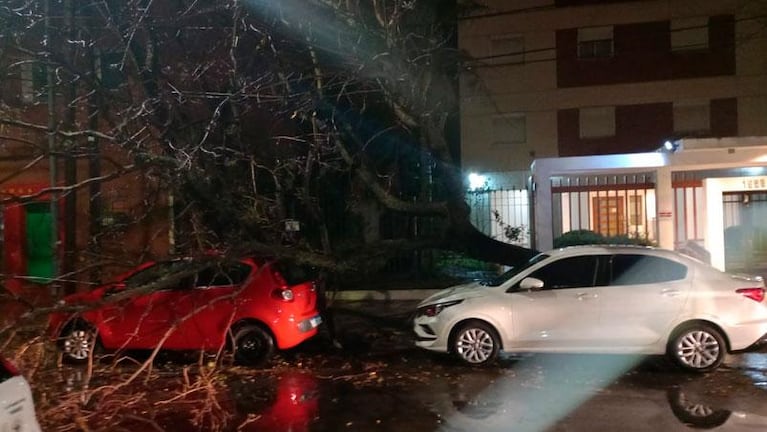 La fuerte tormenta causó daños en gran parte de la provincia de Córdoba