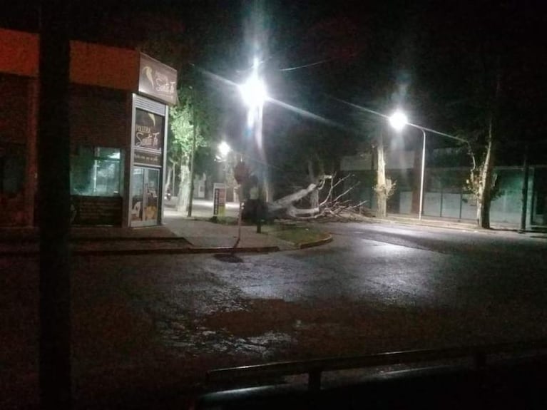 La fuerte tormenta causó daños en gran parte de la provincia de Córdoba