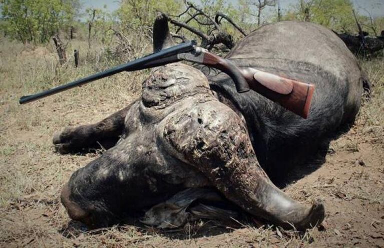 La furia de una cazadora contra los proteccionistas
