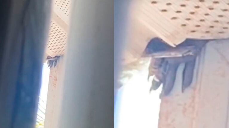 La garra en el techo que se hizo viral en las redes sociales.