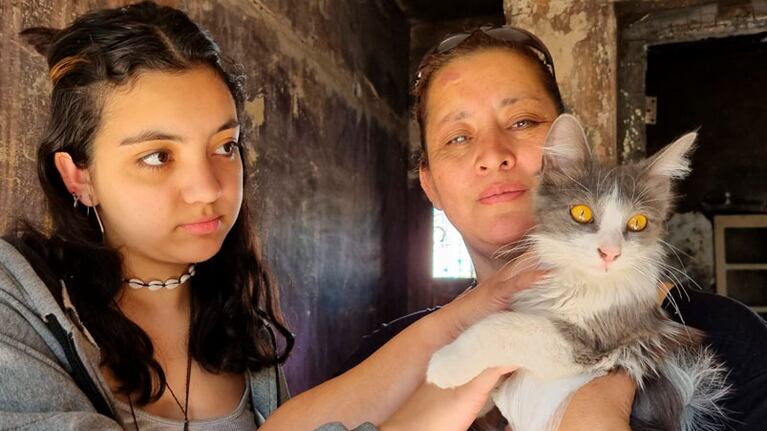 La gata Lola que salvó a una familia del fuego. Foto: Fredy Bustos / El Doce.