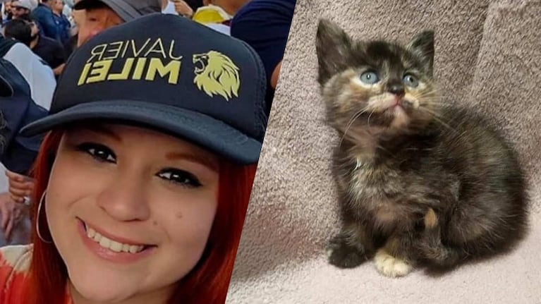 La gatita que iba a adoptar Lucía.