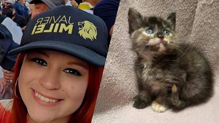 La gatita que iba a adoptar Lucía.