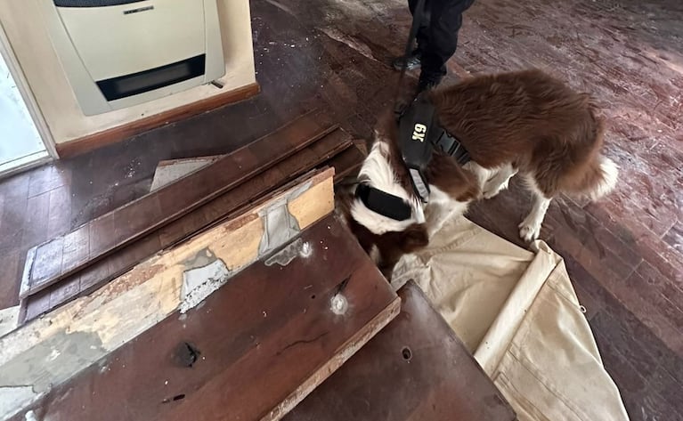 La granada fue hallada en una casa de Valle Escondido.