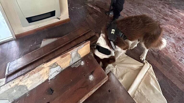 La granada fue hallada en una casa de Valle Escondido.