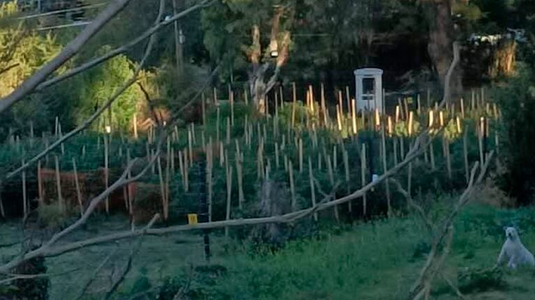 La granja de la polémica en la localidad de Huerta Grande.