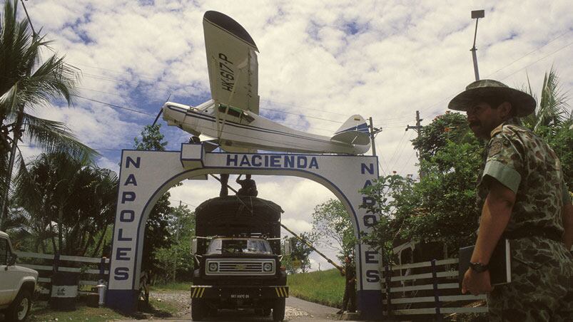 La Hacienda del capo narco contaba con un zoo con especies traídas de todo el mundo. Foto: Getty images.