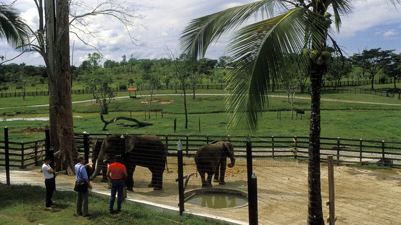 La Hacienda del capo narco contaba con un zoo con especies traídas de todo el mundo. Foto: Getty images.