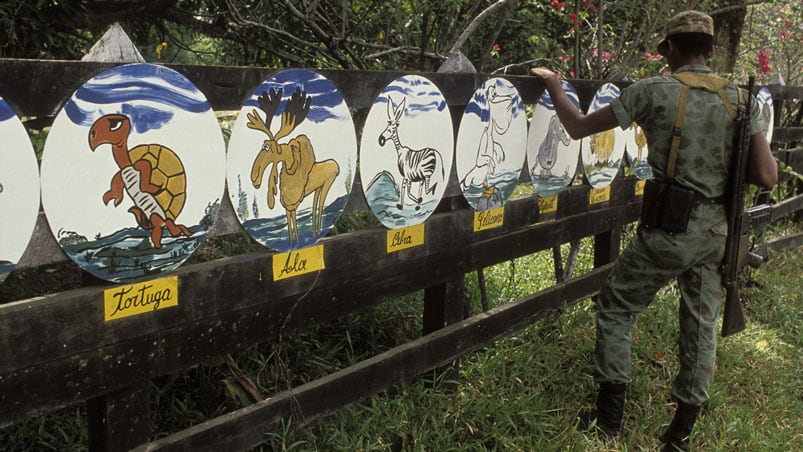 La Hacienda del capo narco contaba con un zoo con especies traídas de todo el mundo. Foto: Getty images.