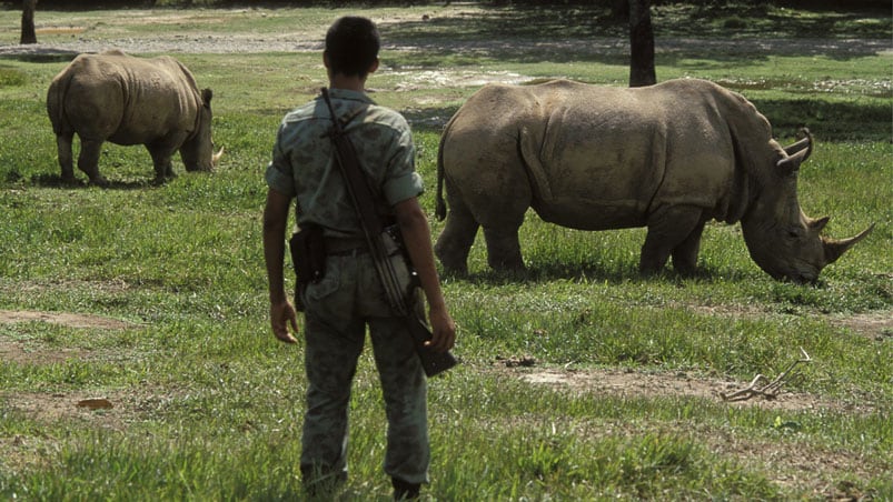 La Hacienda del capo narco contaba con un zoo con especies traídas de todo el mundo. Foto: Getty images.