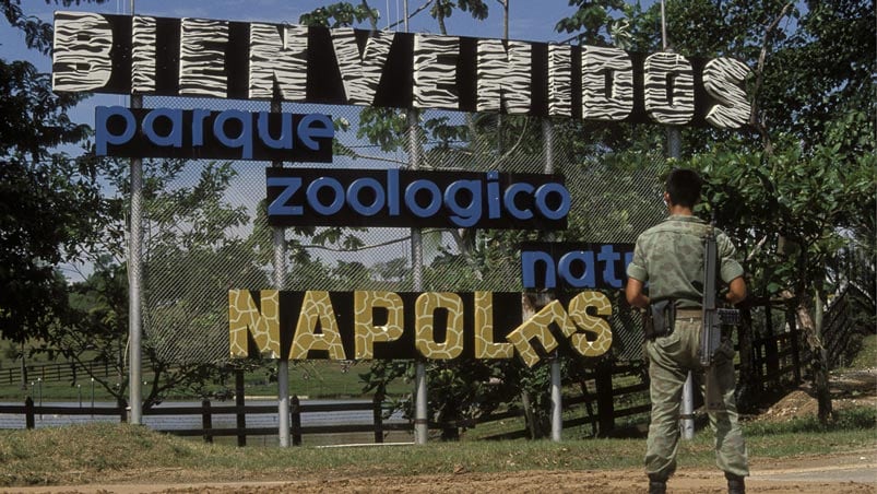 La Hacienda del capo narco contaba con un zoo con especies traídas de todo el mundo. Foto: Getty images.