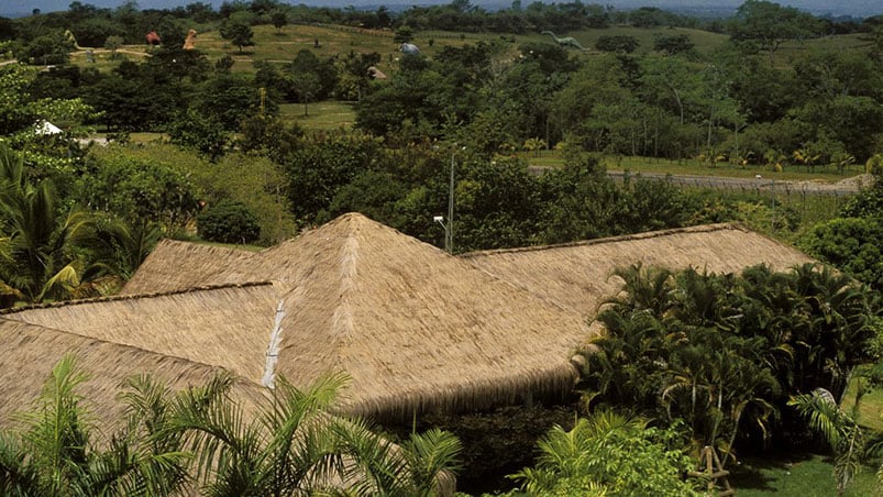 La Hacienda del capo narco contaba con un zoo con especies traídas de todo el mundo. Foto: Getty images.