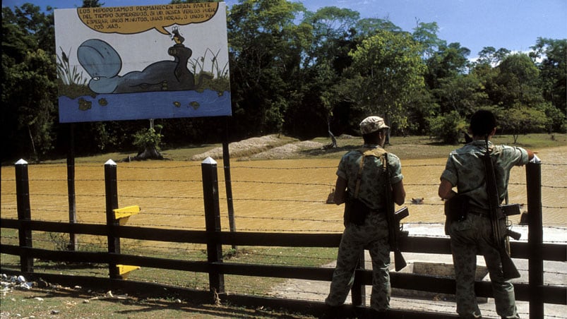 La Hacienda del capo narco contaba con un zoo con especies traídas de todo el mundo. Foto: Getty images.