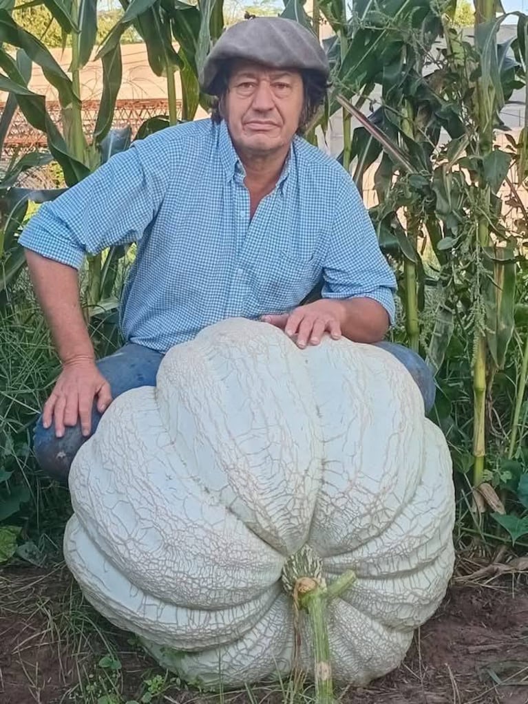 La hortaliza de más de 111 kilos.