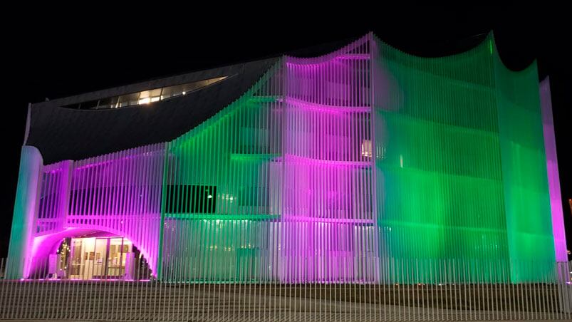 La iluminación exterior de la Legislatura conmemora esta fecha.