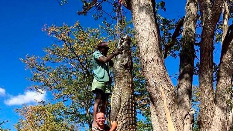 La imagen del cocodrilo gigante publicada en Facebook.