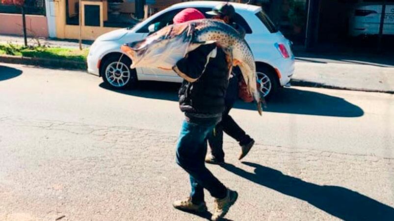 La imagen del hombre volviendo a su casa con el surubí al hombro.