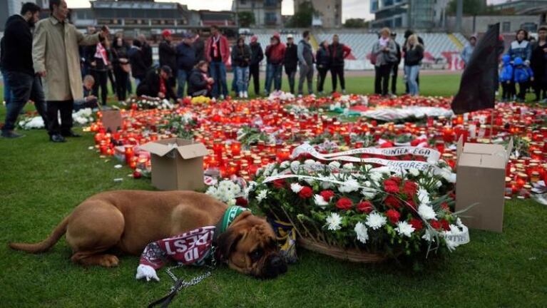 La imagen del perro que conmueve al fútbol