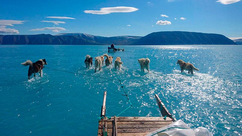 La imagen fue captada por el climatólogo Steffen Olsen. Foto: Twitter