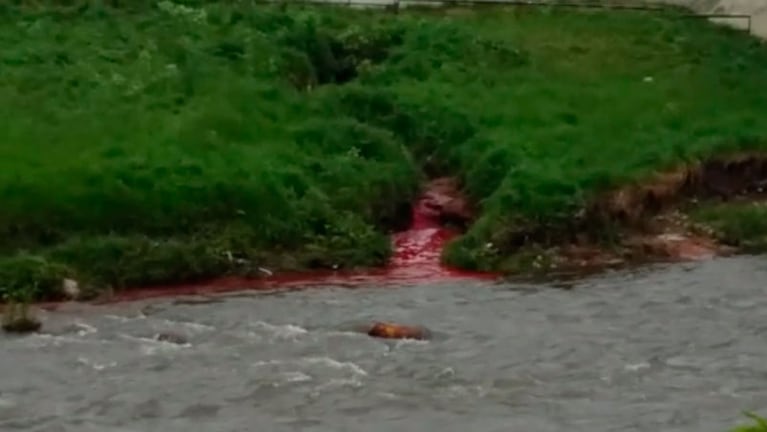 La imagen preocupa: el líquido rojo se mezcla con el agua del Suquía.