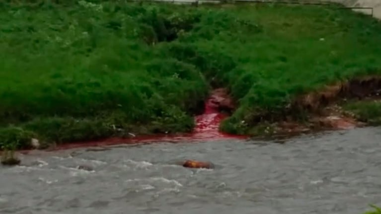 La imagen preocupa: el líquido rojo se mezcla con el agua del Suquía.