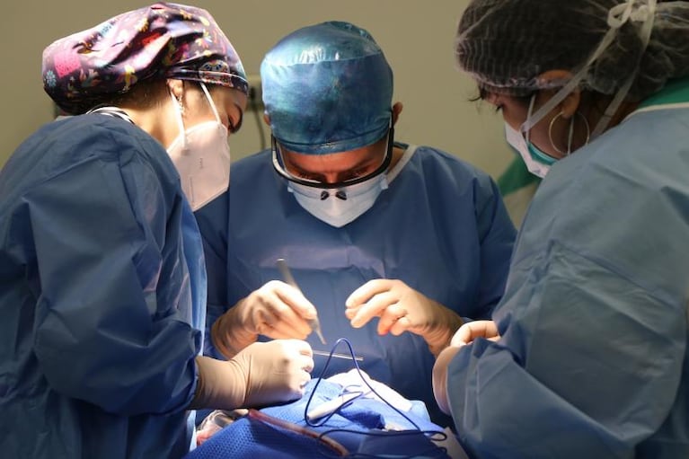 La importancia de ayunar antes de una anestesia