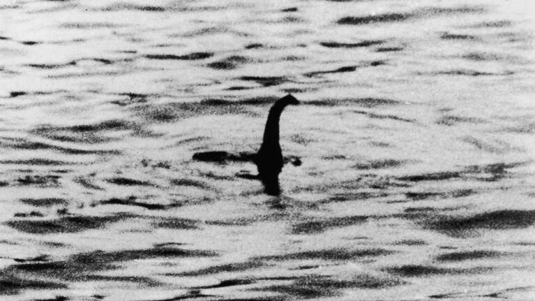La increíble revelación a partir de una cámara que se extravió hace 50 años.