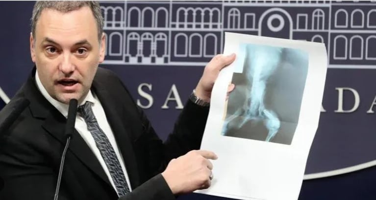 La insólita radiografía de un perro que mostró Adorni.