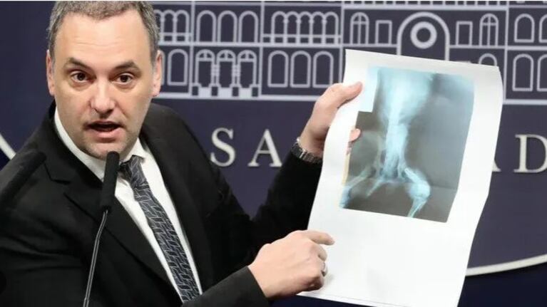 La insólita radiografía de un perro que mostró Adorni.