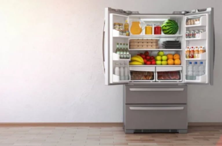 La joven no pudo creer lo que encontró en el freezer tras regresar de Mar del Plata.