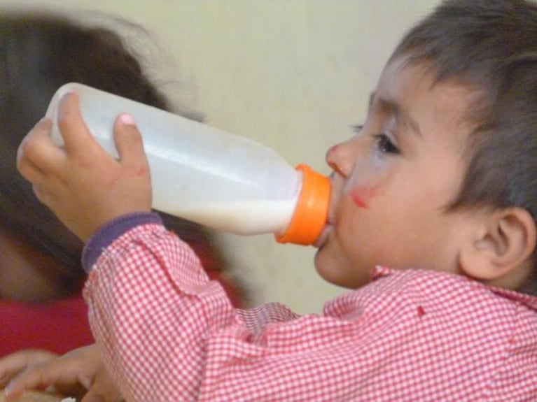 La leche, cada vez más inalcanzable: cayó el consumo en Córdoba