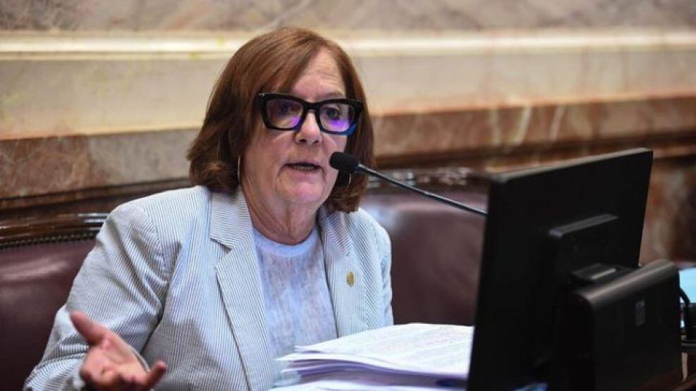 La legisladora apuntó contra el desfinanciamiento de las casas de estudio.