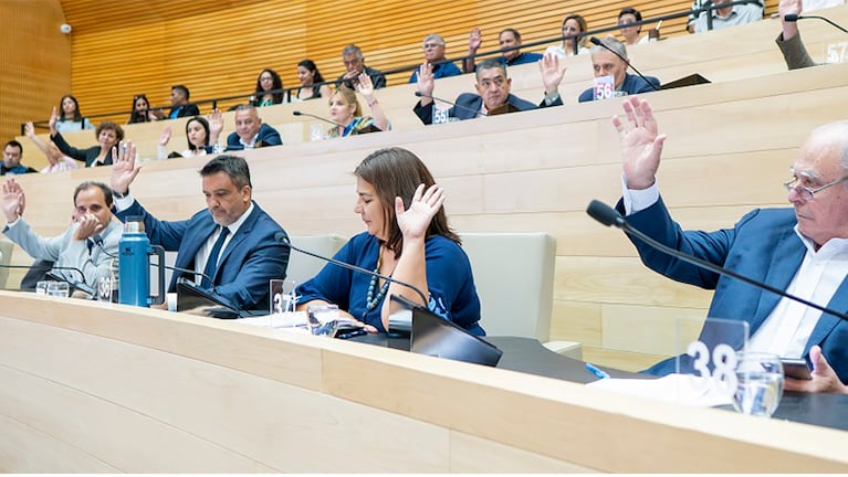 La Legislatura aprobó cambios en el Código de Convivencia durante la última sesión del año.