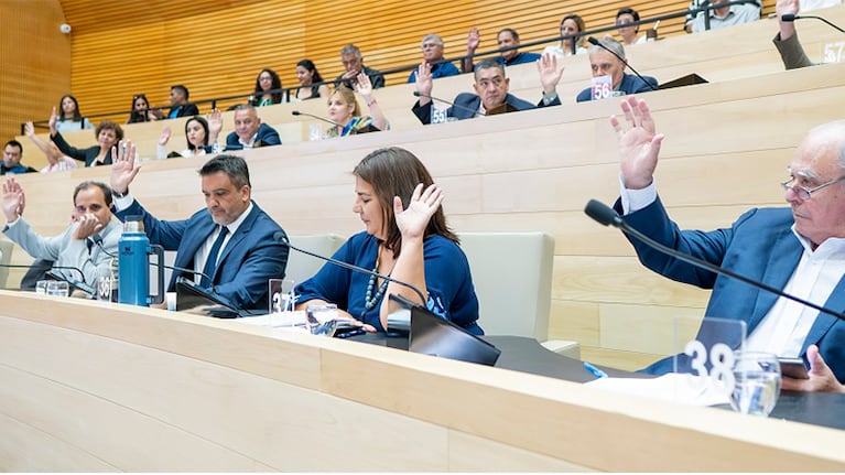 La Legislatura aprobó cambios en el Código de Convivencia durante la última sesión del año.