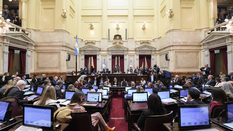 La Ley Bases fue aprobada en general en el Senado. (Foto: Sofía Areco / Comunicación Senado)