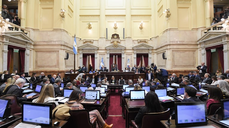 La Ley Bases fue aprobada en general en el Senado. (Foto: Sofía Areco / Comunicación Senado)