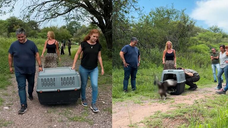 La liberación se llevó a cabo en la Reserva San Martín.