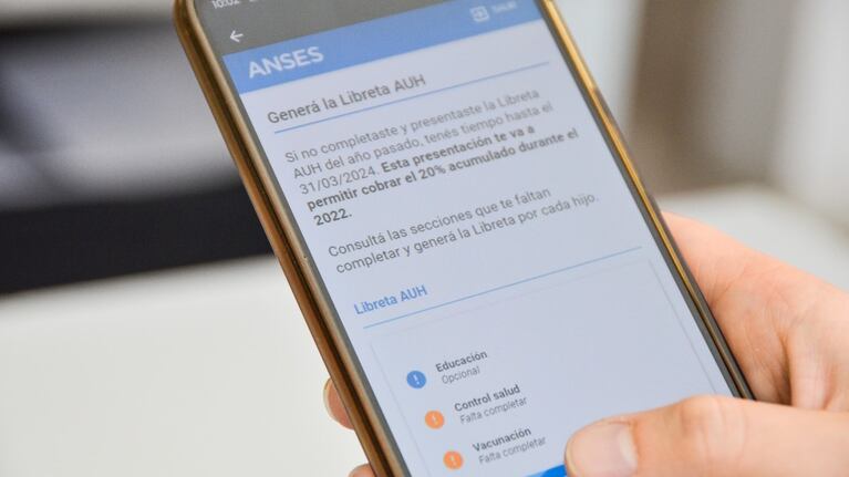 La Libreta AUH se puede presentar hasta el 31 de marzo.